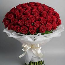 Букет 101 Красная роза Блэк Мэджик в Горки