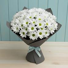 Букет цветов из:  Хризантемы #REPLACE_PRED# Горки