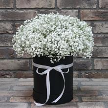 Цветочная композиция из Гипсофила в шляпной коробке в Горки