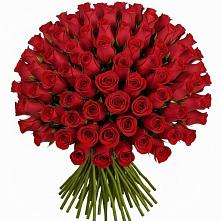 Букет Красные розы Чери Лав #REPLACE_PRED# Горки