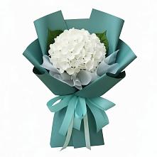 Букет цветов из:  Гортензия #REPLACE_PRED# Горки